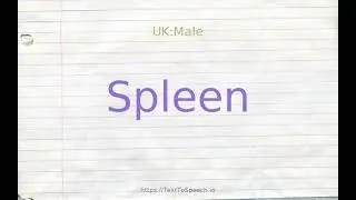 How to pronounce spleen