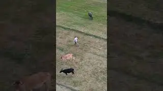 drone prank on our village 😃😃 it's funny moment