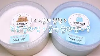 녹은 슬라임과 굳은 슬라임의 만남 👥