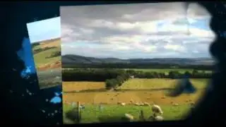 Davina Farquharson of Kirriemuir Sings Golden Daffodils
