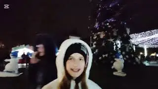 📢👉🎅❄️T&acirc;rgul de Crăciun + drumul spre Selgros