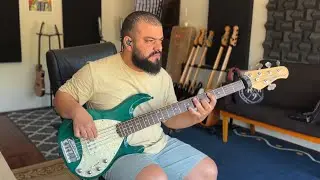 Hold The Line | Bass Cover @renatobaixista 