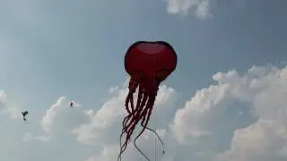 This is the New Super Giant Octopus Kite flown by Yves Laforest