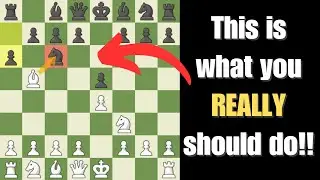 What you should ACTUALLY do in the Opening