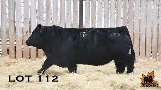 LOT 112  RF Maximum 188J