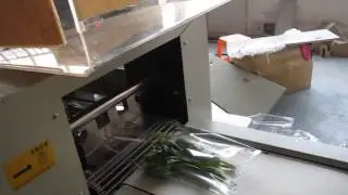 Упаковка Зелени на сервоприводной упаковочной машина ALD-600X-Servo3
