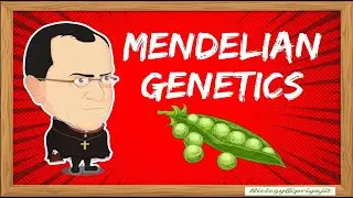 Mendelism: Principles of Heredity | UG, PG & CSIR NET Life Science.