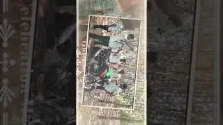 Arabic kuthu/ collage boys/ beast song/ celebration/thalapathi Vijay