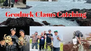 Over Night Geoduck Clams Catching With Friends #youtube