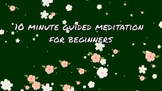 Guided meditation for beginners