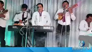 M.A.A 