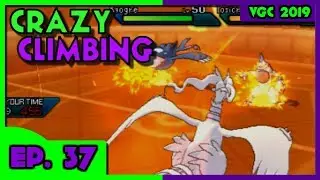 Rained Out! Crazy Climbing # 37 Pok&eacute;mon  VGC 19 Moon series