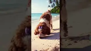 A celebration for the new survival ￼
