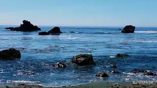 Shell Beach, Bodega Bay 4K UHD - Relaxing Mindfulness Views