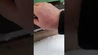 10.01.2026 нуклеус на контрольних вагах.