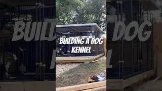 Building a outdoor dog kennel