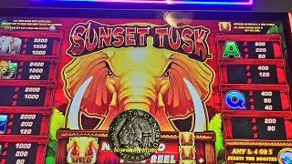 SUNSET TUSK BONUS