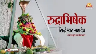 सिद्धेश्वर महादेव रुद्राभिषेक | Siddheshwar Mahadev Rudrabhishek | Dev Sanskriti Vishwavidyalaya