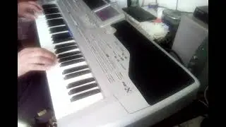 Лілія Korg Pa1x