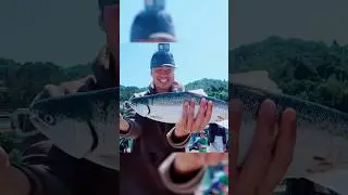 Caught a salmon from the pier Bay Area #fishing #bayarea #salmon