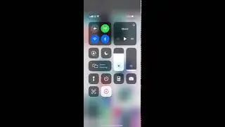 Samsung galaxy s10 plus colors