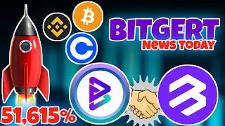 Bitgert Brise And Cardano Prepare For This Month's Price Leap!!  Here's the reason
