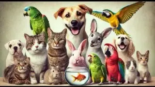 🎵🐾 K&euml;nga e Kafsh&euml;ve 🐮🦁 | P&euml;r F&euml;mij&euml; | Dea Kids 🌈