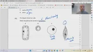 IGCSE Biology Chapter 2 CELLS (questions solving part 2)