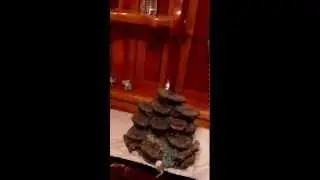 retarded elephants #1