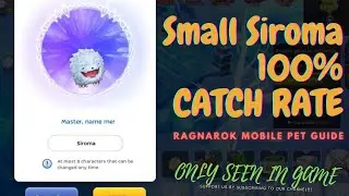 HOW TO GET SMALL SIROMA 100% SUCCESS PET GUIDE [RAGNAROK M: ETERNAL LOVE (SEA)] | ONLY SEEN IN GAME
