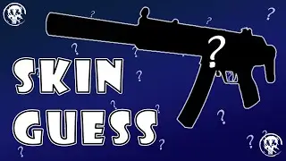 CS:GO Skin GUESS | Part 1