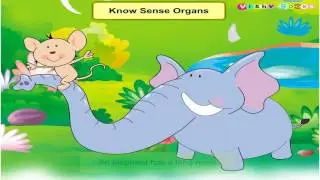 Learn about Senses of Animals | Science
