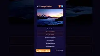 front end developer 