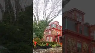 Victorian-style Mary Armington House (1870) and gorgeous ivy tree in Newport, RI. #magicalwinter