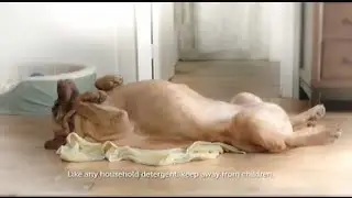 TV Spot - Gain Flings  - The Dog Towel - Me Towel Su Towel - Our Best Gain Ever