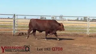 Lot 183 Yarrawonga Q708