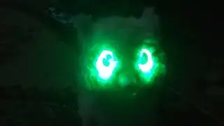 Hatchimals Pastel Interactive Penguin - Sick