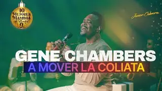 🔥💃 GENE CHAMBERS ENCIENDE LA FIESTA: ¡A MOVER LA COLITA! 🎉🥁