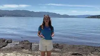 What is an Aquatic Invasive Species?