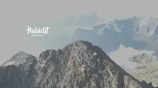 Habicht