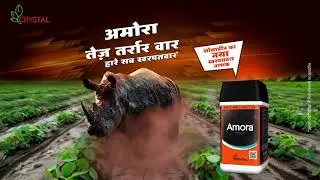 Amora - Crystal Crop's New Herbicide for Soybean - TVC Hindi 20 Sec