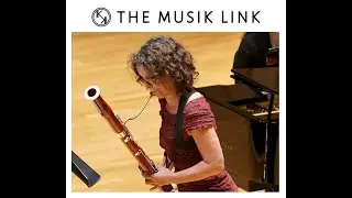 Meet Bassoonist Sue Heineman (EPISODE 10) I THE MUSIK LINK