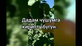 Рошәнгүл Қәйсәр қизи - Дадам яққан чирақ.