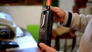 Vinos ecológicos en el Cortijo El Cura (Laujar de Andarax, Almería)
