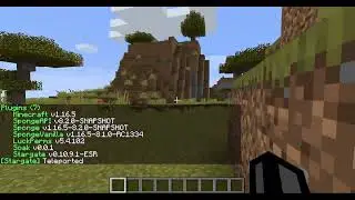 Startgate Soak 1.16.5 test