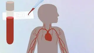 COVID-19 animation: Coronavirus and antibody testing explained