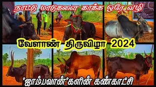 காளைகளின் கண்காட்சி2024 | வேளாண்திருவிழா முழுவீடியோ | Kangeyam Bulls Show2024 |காளைகள்வளர்ப்பு |கோவை