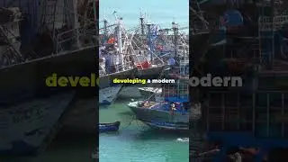 Federalism is killing Somali economy #somaliland #somalia #putland