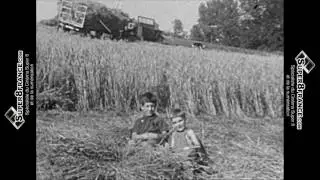 SUPER8FRANCE - Tous au champ (film de 1966)