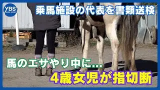 4歳女児が指切断 馬のエサやり体験中に 乗馬施設の代表を書類送検 安全確保不十分か